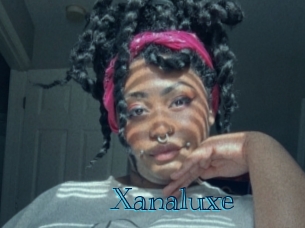 xanaluxe Archive DVD BIZ