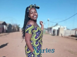 xaries Archive DVD BIZ