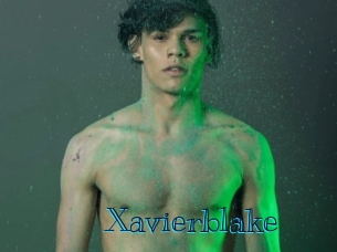 xavierblake Archive DVD BIZ