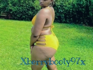 xberrybooty97x Archive DVD BIZ