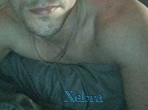Xebra