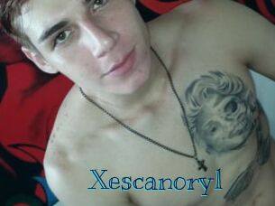 Xescanory1