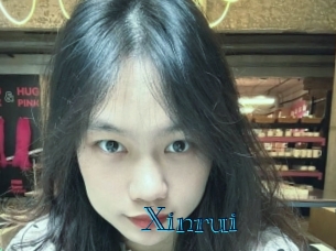 xinrui Archive DVD BIZ