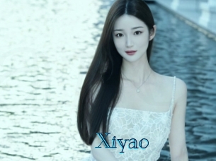 xiyao Archive DVD BIZ