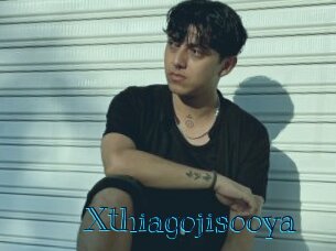 Xthiagojisooya