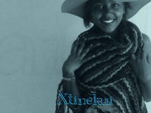 Xtinekui