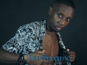 Yandynamo