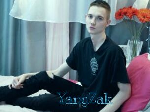 YangZak