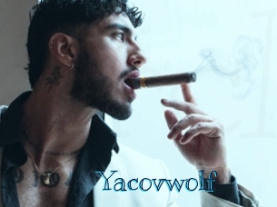 yacovwolf Archive DVD BIZ