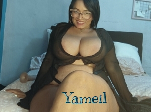 yameil Archive DVD BIZ