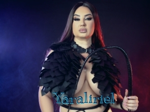 yaraliriel Archive DVD BIZ