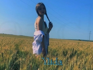 ylida Archive DVD BIZ