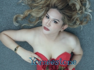 yomeestone Archive DVD BIZ