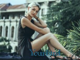 Yourbird