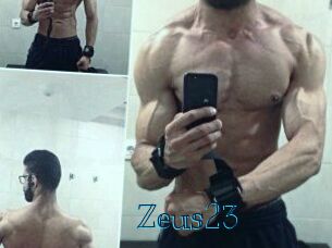 Zeus23