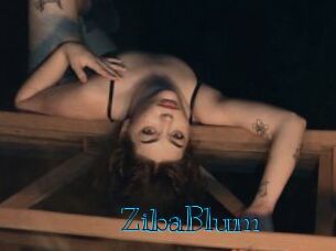 ZibaBlum