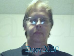 Ziggy2020