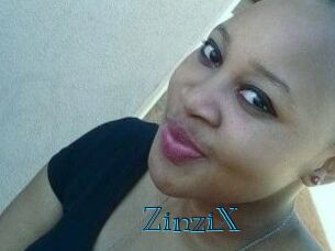 ZinziX