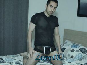 Zorrit0