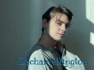 zacharyellington Archive DVD BIZ