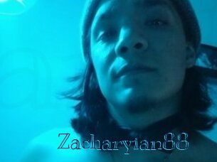 zacharyian88 Archive DVD BIZ