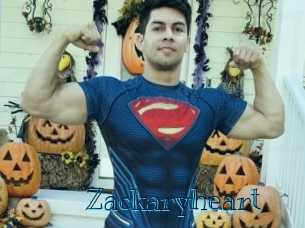 zackaryheart Archive DVD BIZ