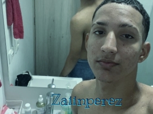 zaiinperez Archive DVD BIZ