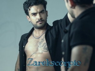 zarekscorpio Archive DVD BIZ