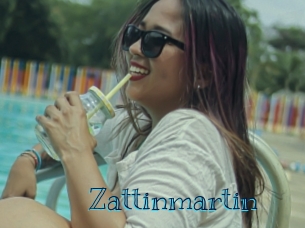 Zattinmartin