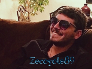 zecoyote89 Archive DVD BIZ