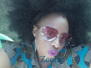 zeehd Archive DVD BIZ
