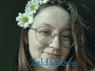 zeldaalison Archive DVD BIZ