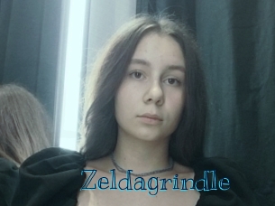 Zeldagrindle