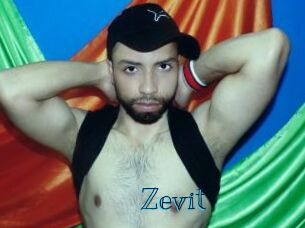 Zevit