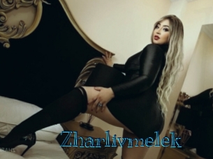 zharlivmelek Archive DVD BIZ