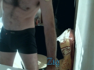 zig Archive DVD BIZ