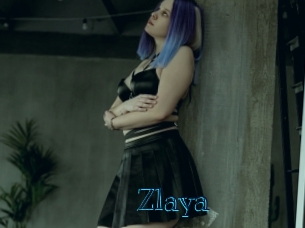 zlaya Archive DVD BIZ