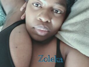 zoleka Archive DVD BIZ
