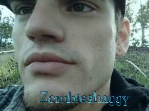 Zombieshaggy