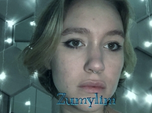 zumylim Archive DVD BIZ